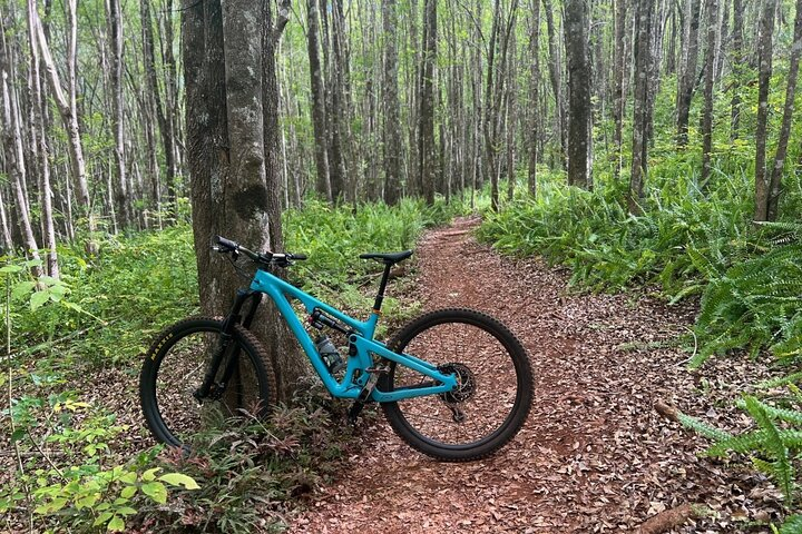 Fern Filled view climbing East Loop on the Yeti SB130